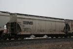 NS 292521