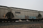 NS 292682