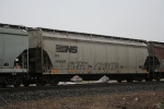 NS 292685