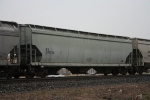 NS 293236