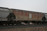 NS 293327