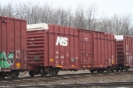 NS 453695