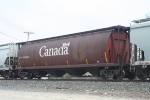 CP 606882