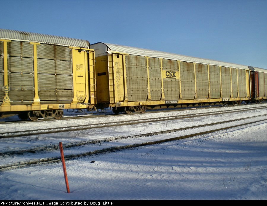 TTGX 150592