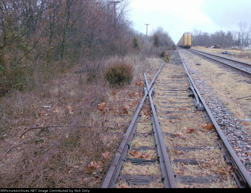 Rails growing weeds near Benld on former CNW