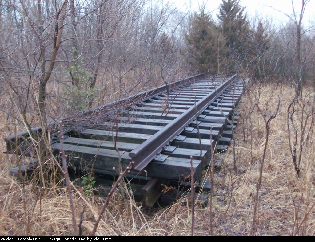 Rails growing weeds near Benld on former CNW