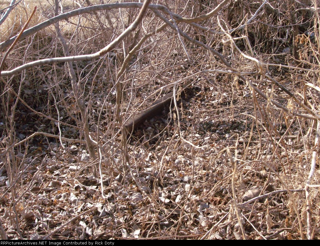 Rail left behind when DeCamp to Litchfield segment of Litchfield & Madison was pulled up