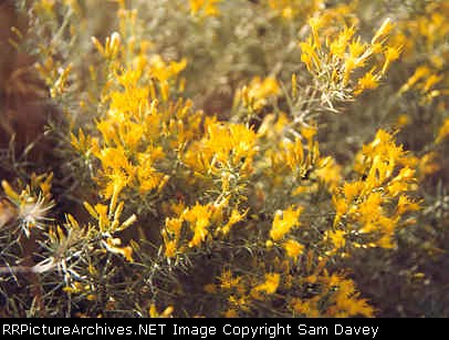 just messin around with the camera while waiting for a train that never came