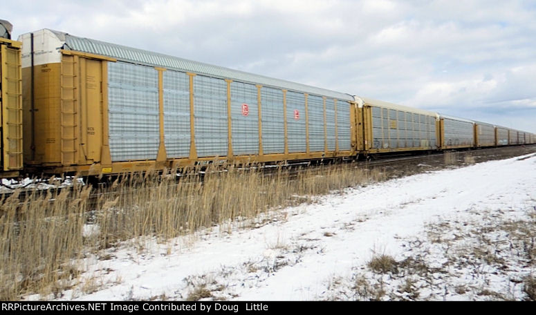 TTGX 705077