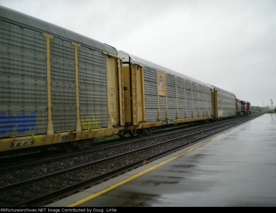 TTGX 604419