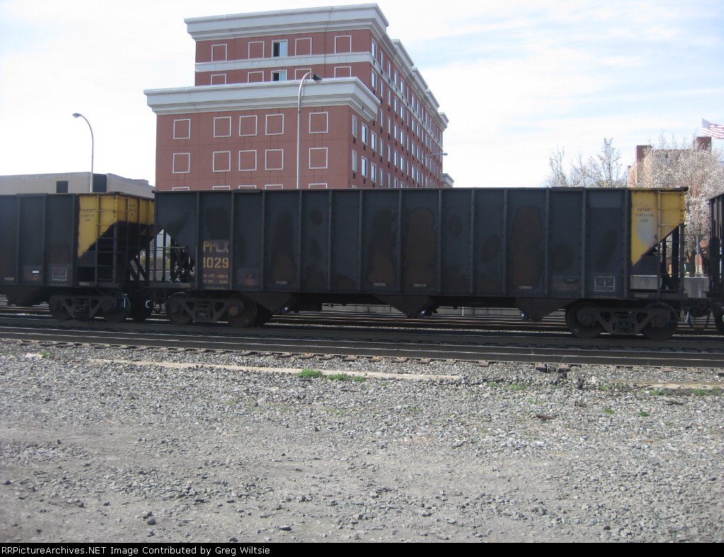 PPLX 1029
