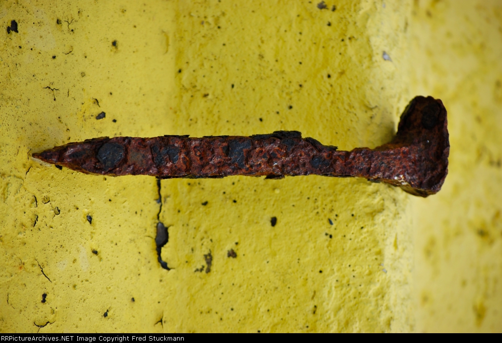 Spike was a contestant on TV's "Biggest Loser."