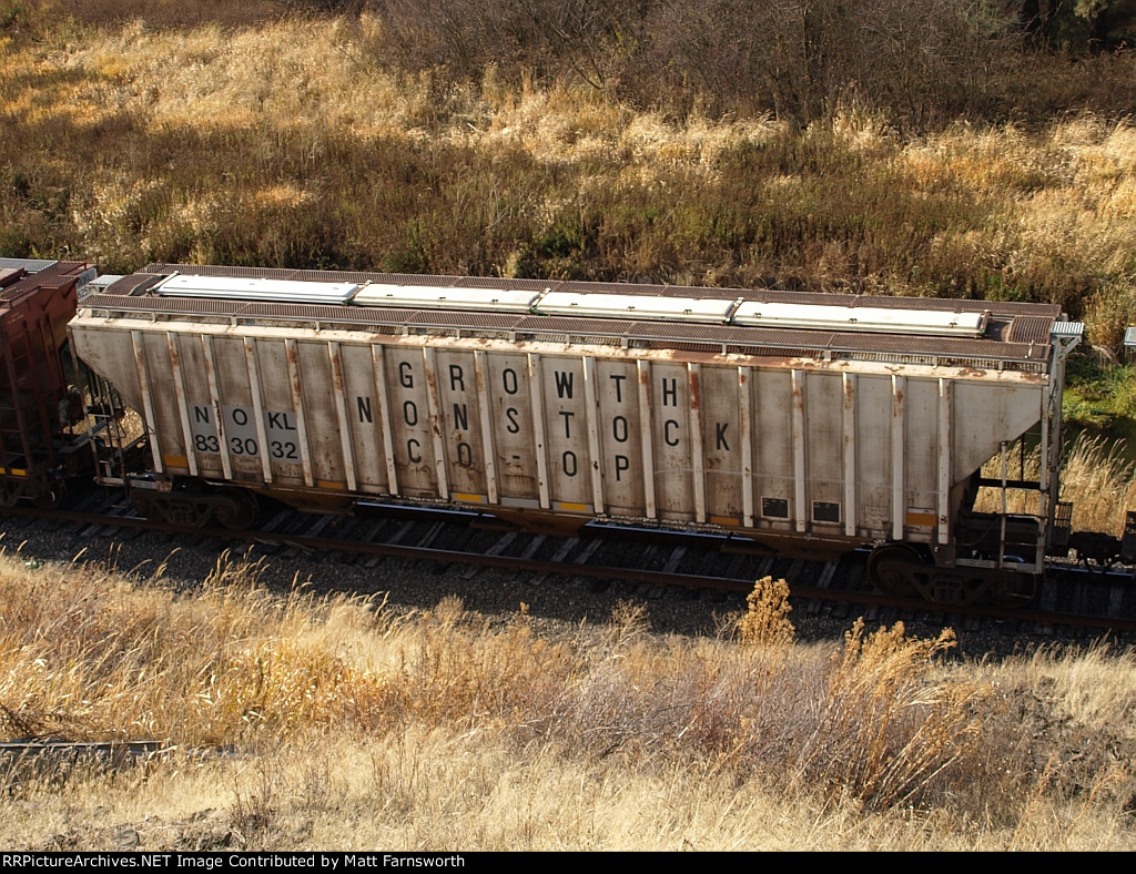 Growth Nonstock coop hopper