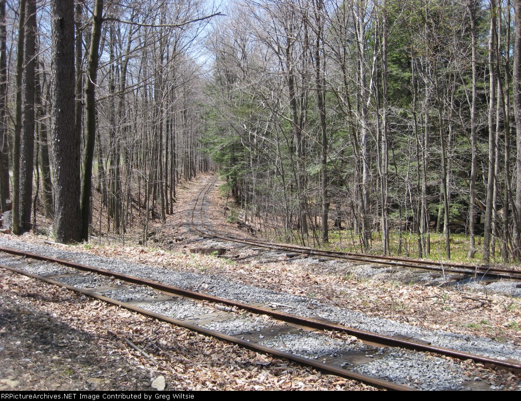 Bucksgahuda and Western Right of Way