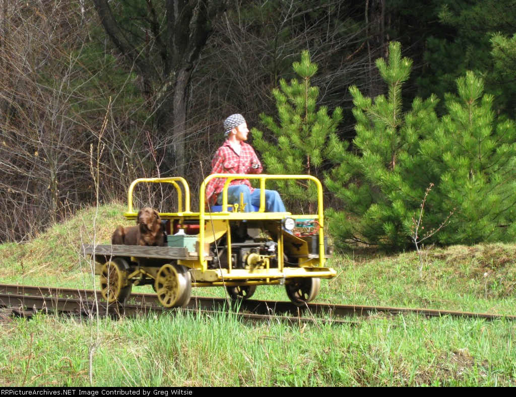 A man takes his dog for a speeder ride
