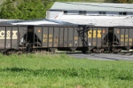 CSX 828424