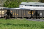 CSX 815598