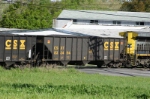 CSX 833494