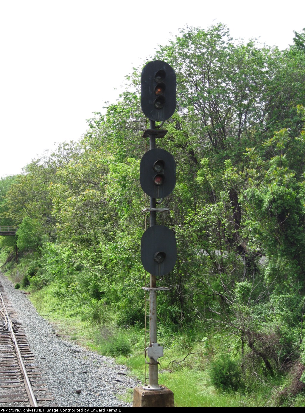 Approach at the WAS East Ivy