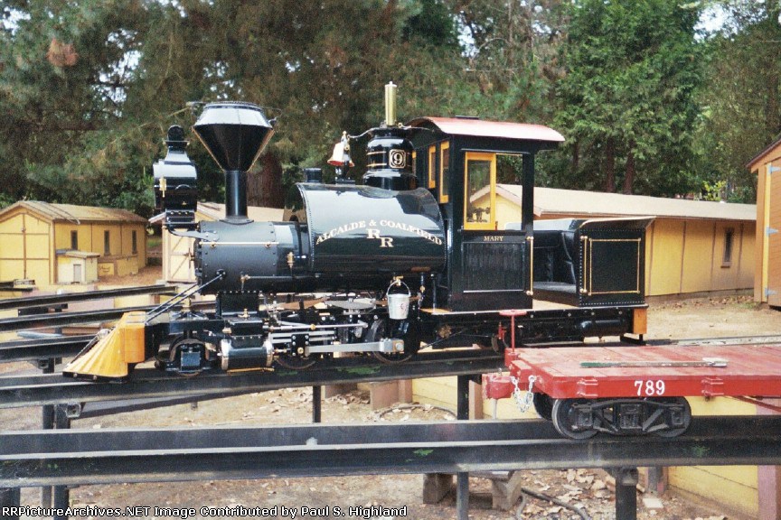 Bitter Creek Western