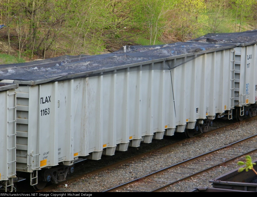 TLAX 1163