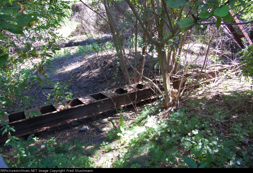 Planet Earth is reclaiming it's space.