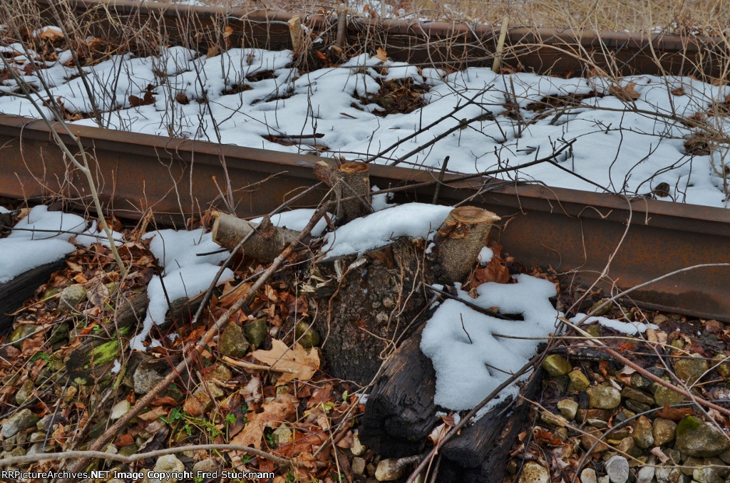 So who's cutting down the growth?