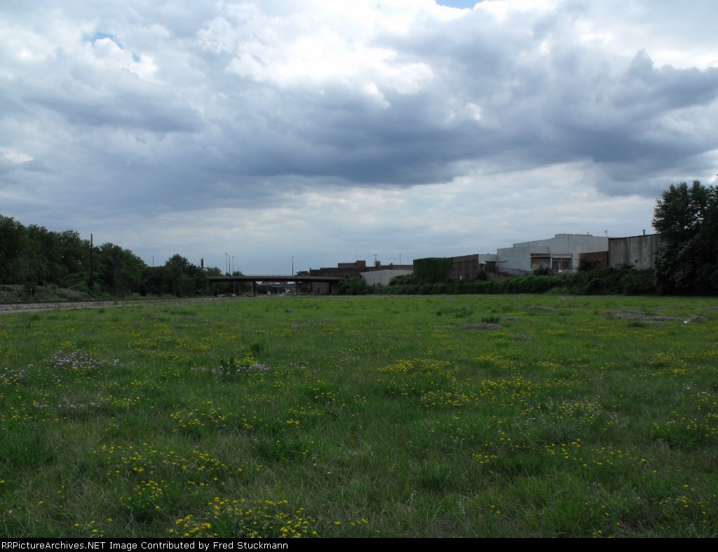 Wildflowers where we once worked.
