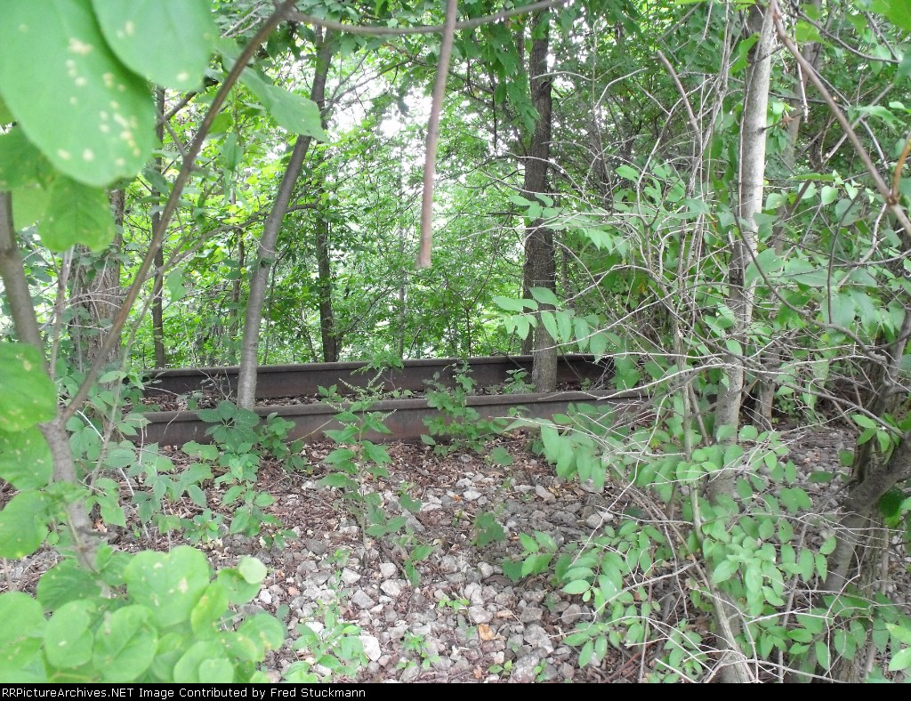 EL westbound found to be in the Witness Protection Program.