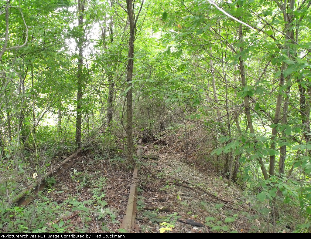 EL westbound looking east, sort of.