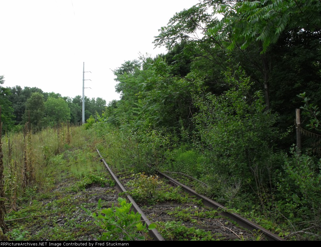 EL westbound looking west.