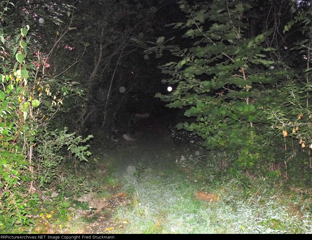 EL eastbound just west of Old Forge.