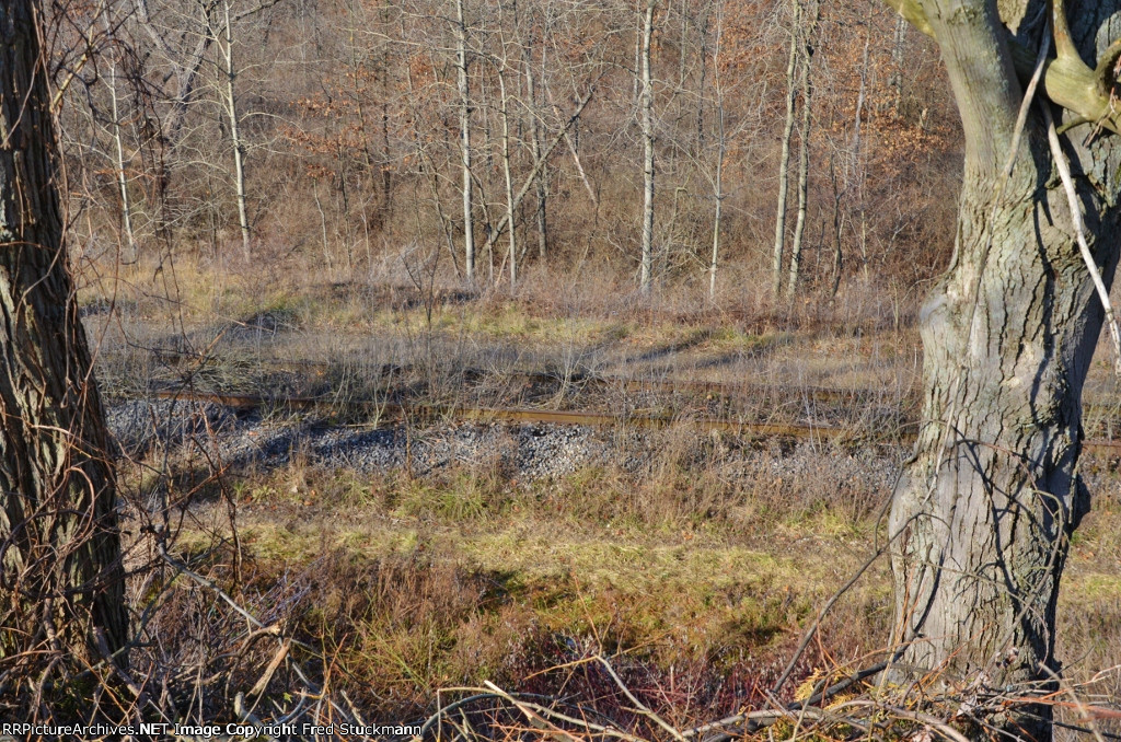 These shots are between Eastwood Ave. and Brittain Rd.