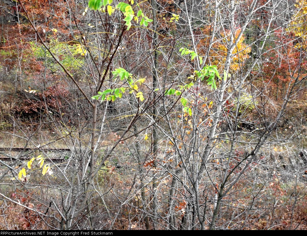 CA&C/PRR ROW between Evans and Eastwood.