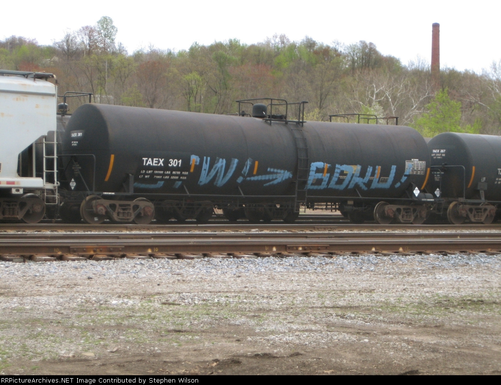 TAEX 301