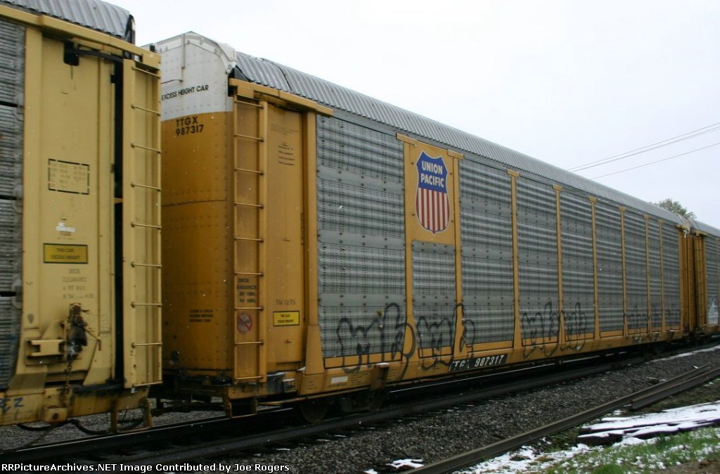 TTGX 987317