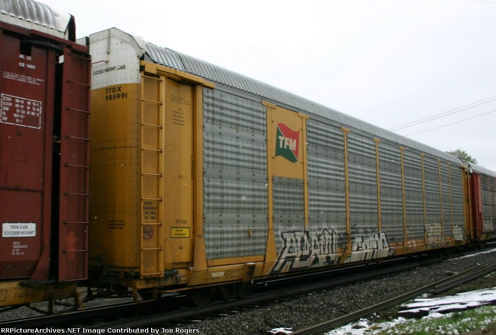 TTGX 985991