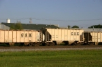 CSX 242219