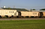 CSX 224568