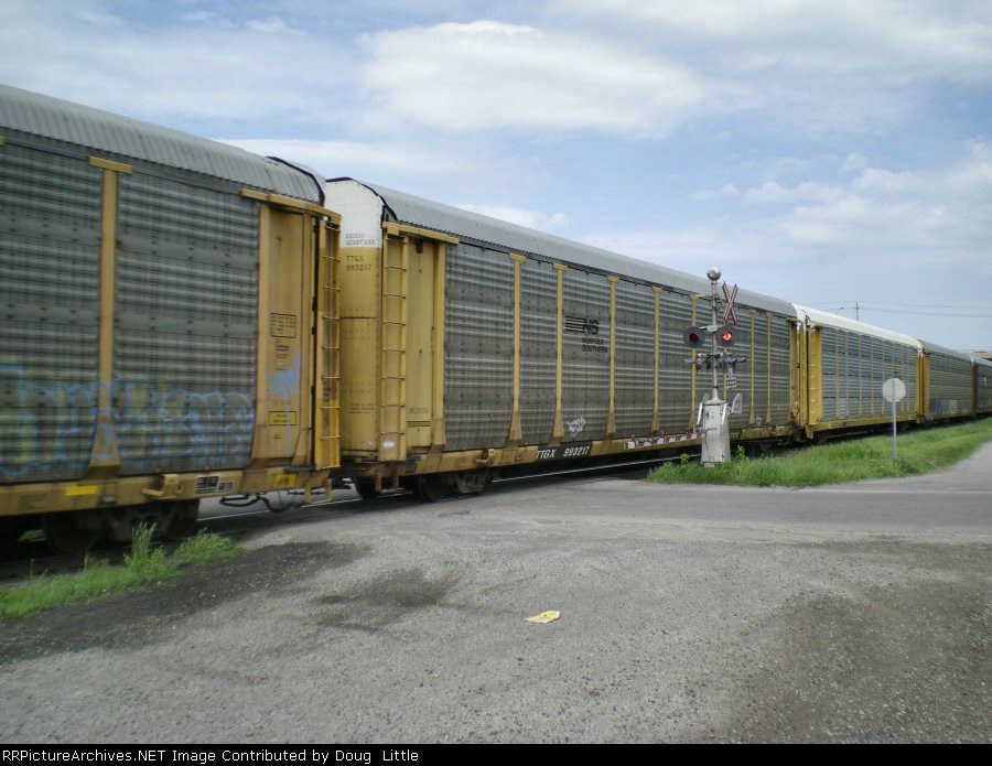 TTGX 993217