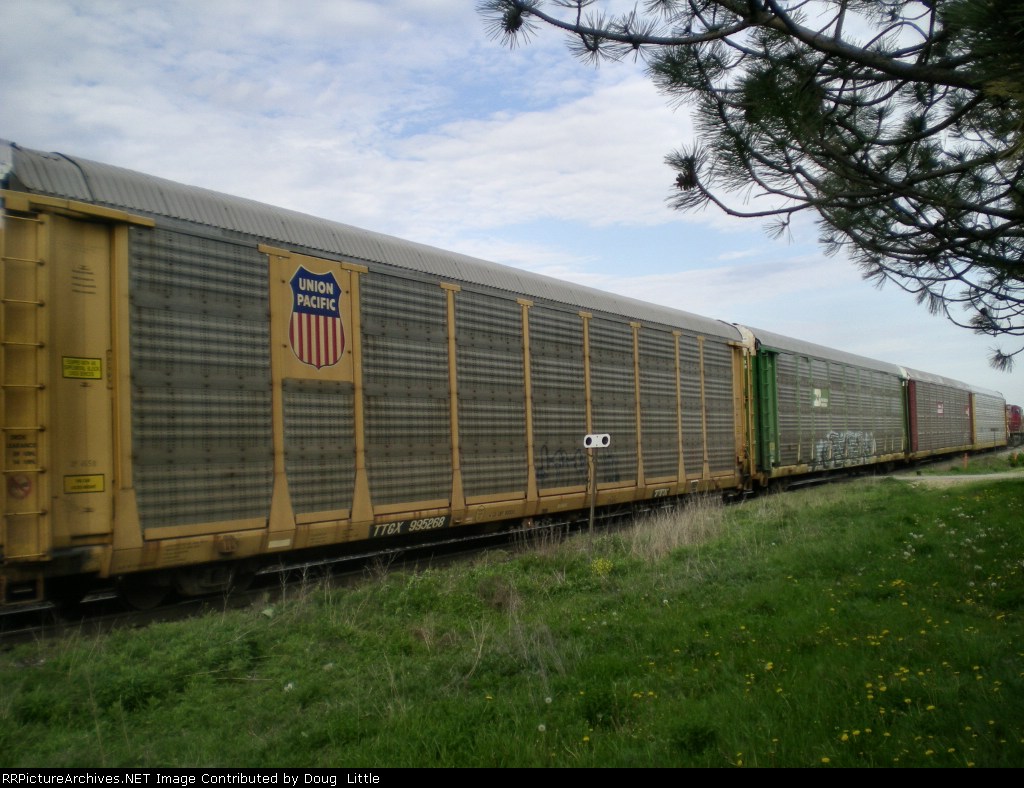 TTGX 995268