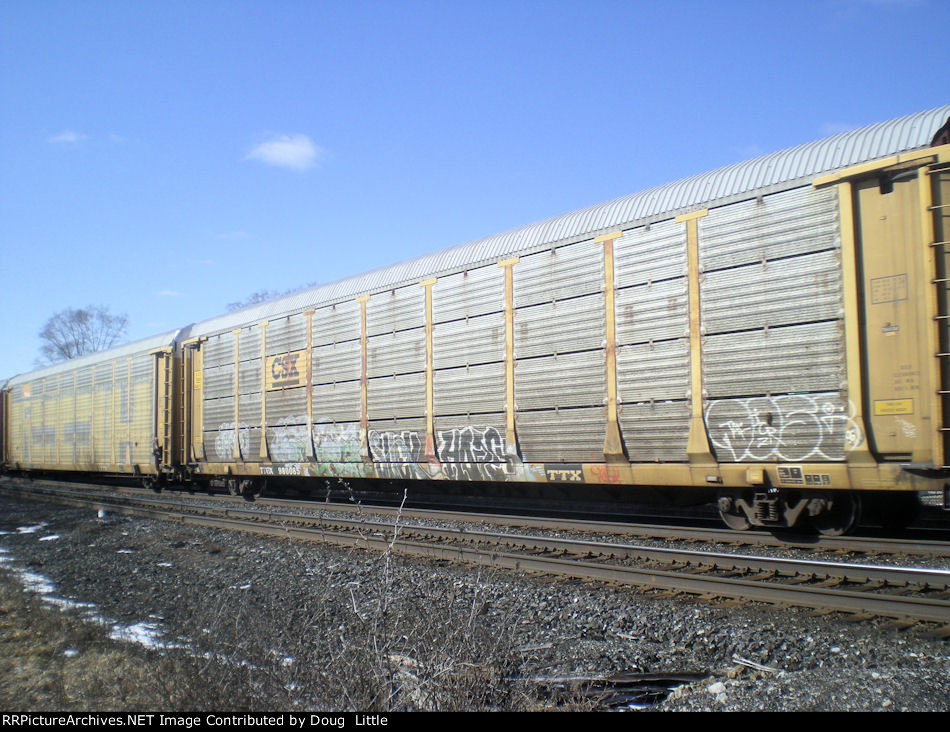 TTGX 980065