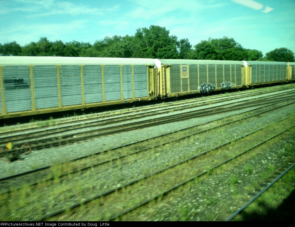 TTGX 985134