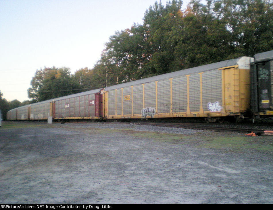 TTGX 986237
