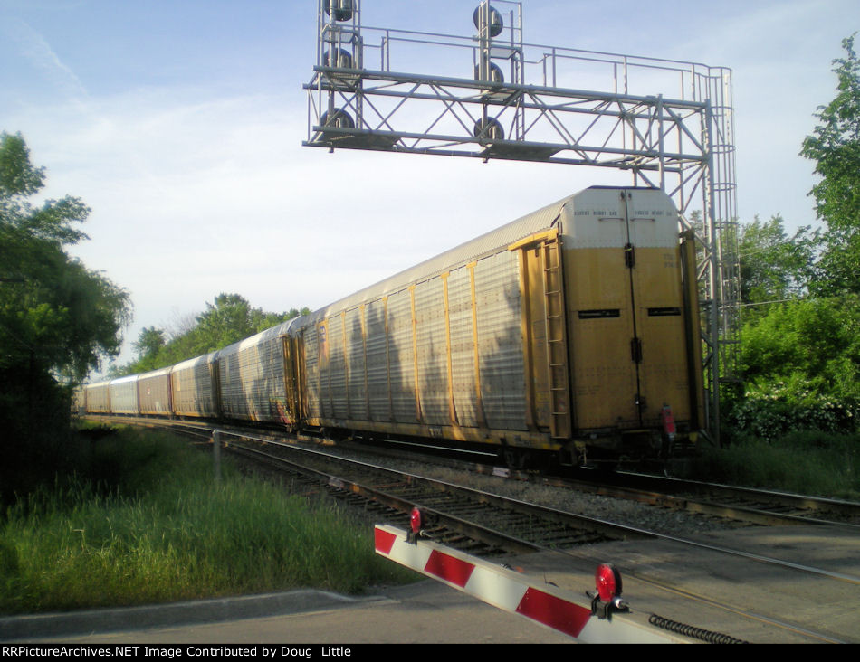 TTGX 974115