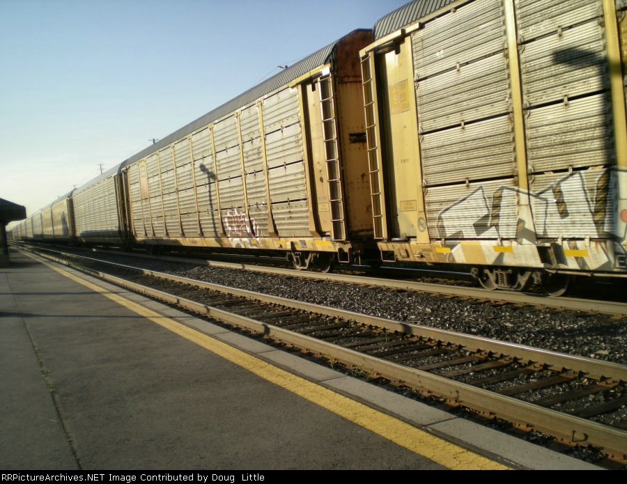TTGX 975231