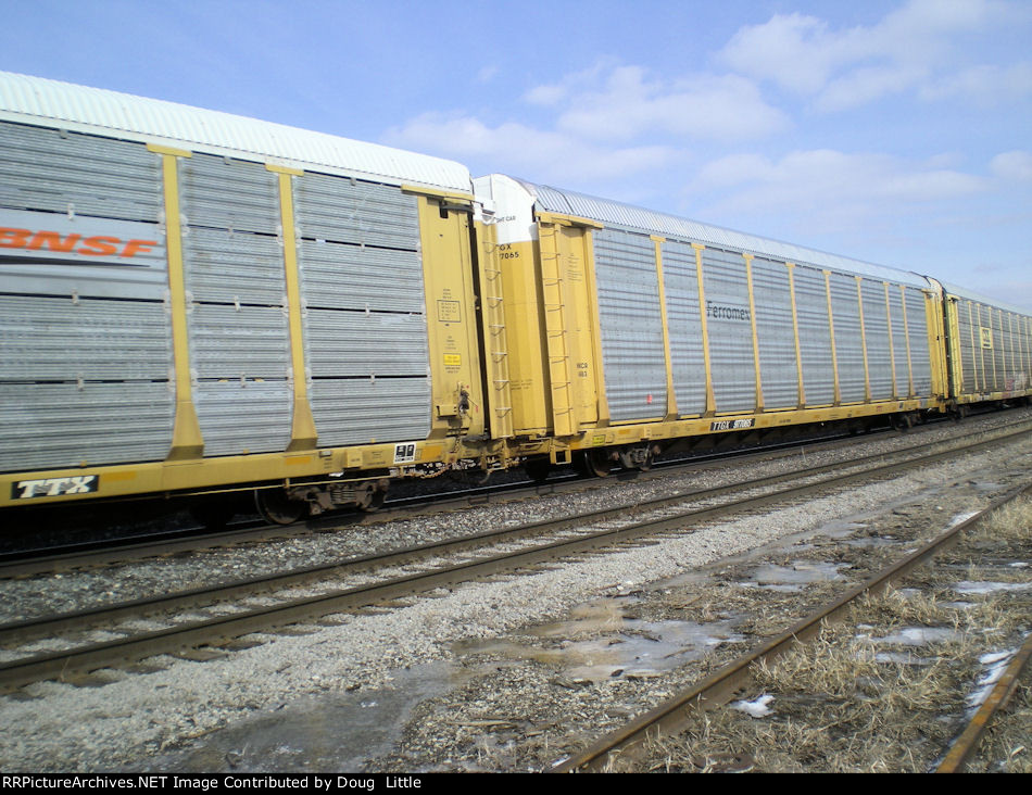 TTGX 977065