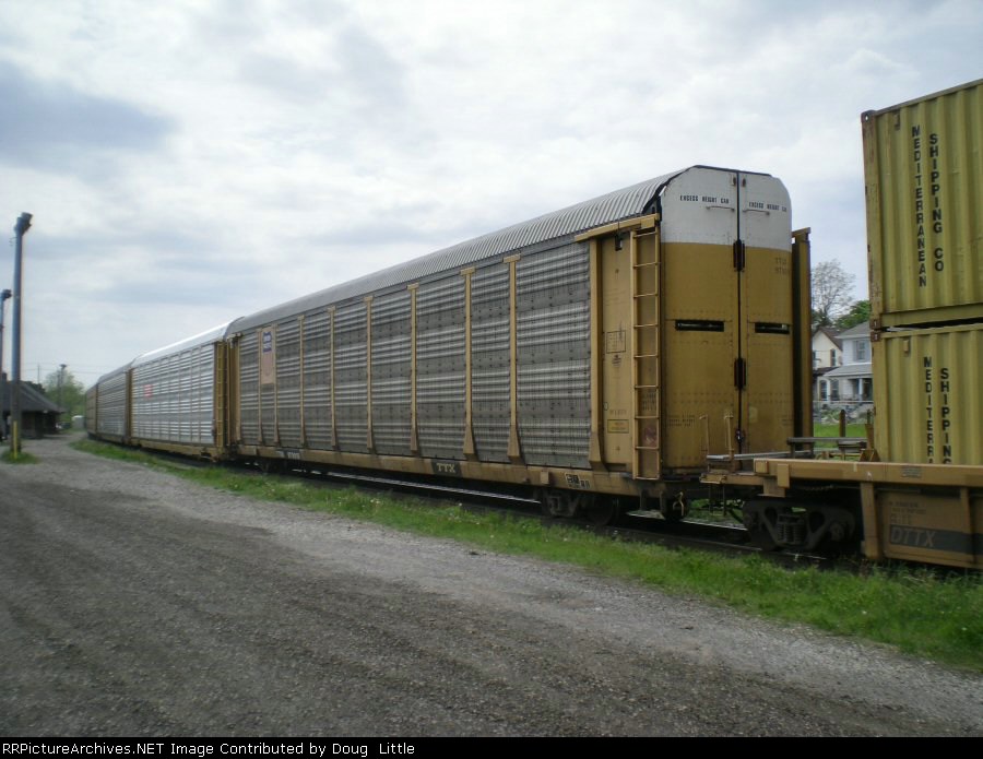 TTGX 979016