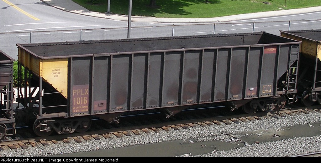 PPLX 1016