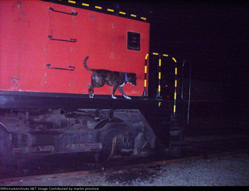 Dang it, no bones on this one either.